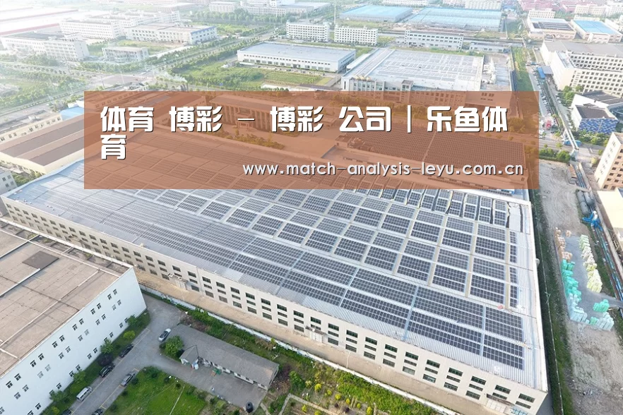 案例展示二