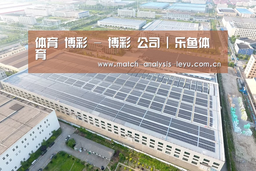 案例展示一