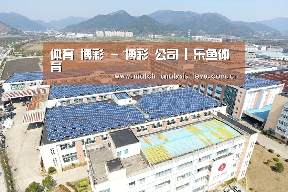 案例展示二
