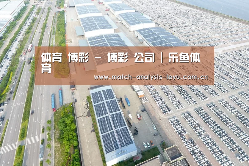 案例展示四