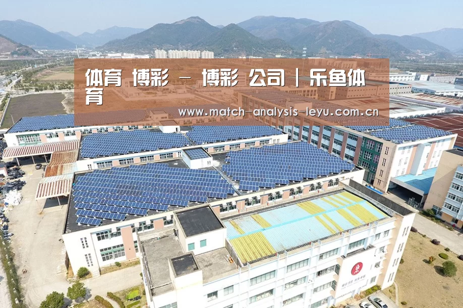 案例展示三