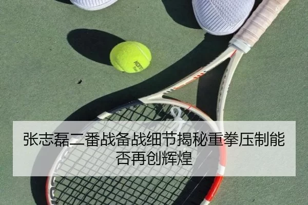 张志磊二番战备战细节揭秘重拳压制能否再创辉煌