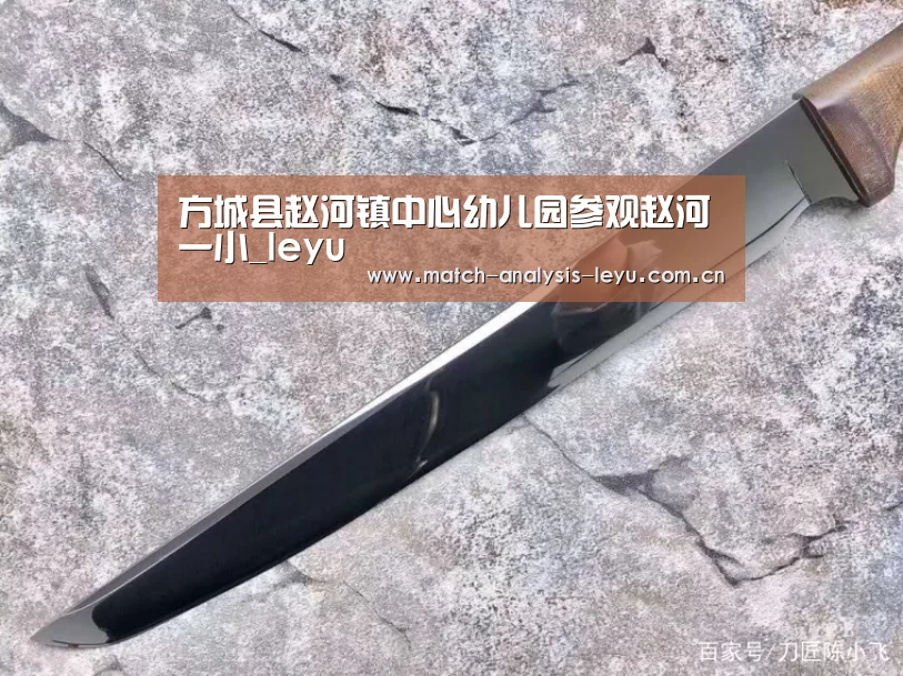 乐鱼game
